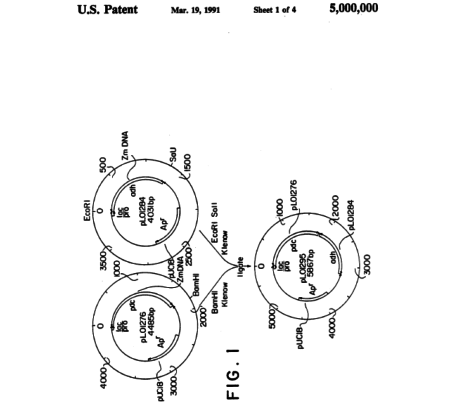 Diagram for Patent #5,000,000