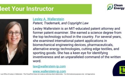 Innovation DuPage Welcomed Lesley A. Wallerstein